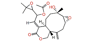 Xeniolide J